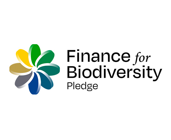Finance_for