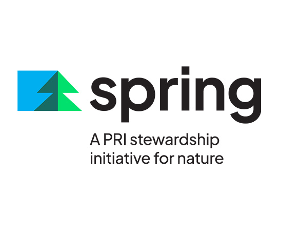 spring