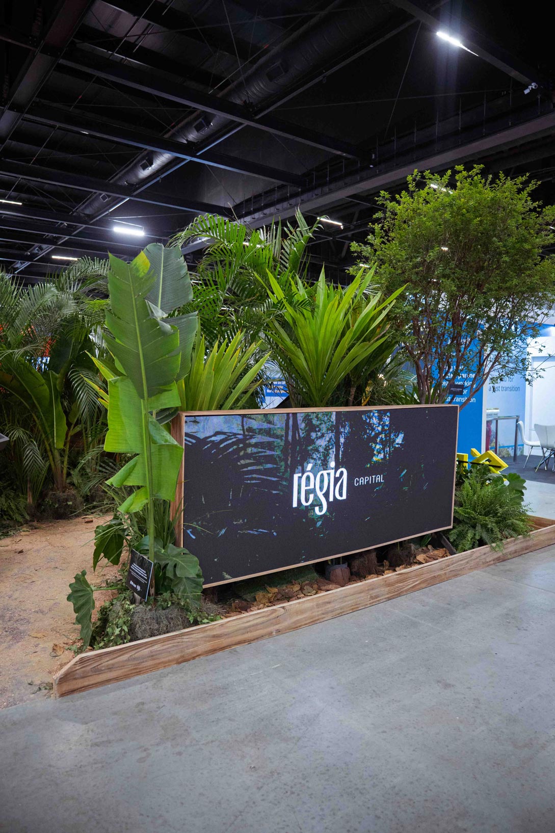 Régia-Capital—Dia-03-7