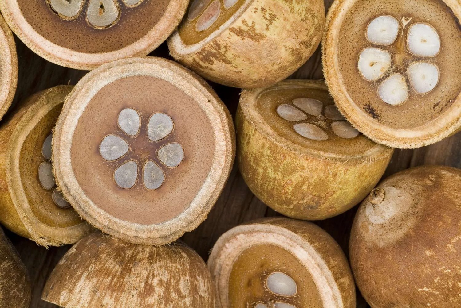 Tobasa — bioeconomia do babassu